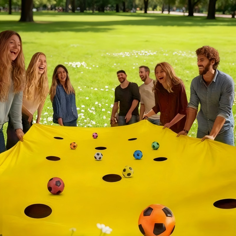 홀 매트 볼 던지기 게임 키트 다양한 색상의 공 매칭  - Party Games Groups 리뷰 및 가격